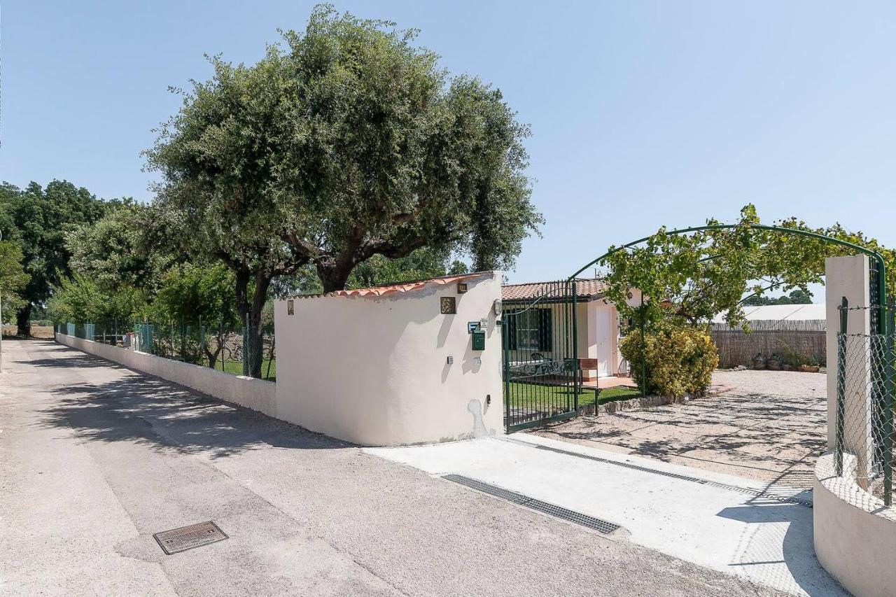 La Cesa Holiday House San Felice Circeo Exterior photo
